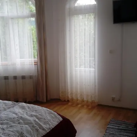 Отель Orlan