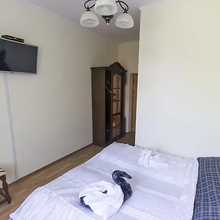 Orlan Hotel Rakhiv