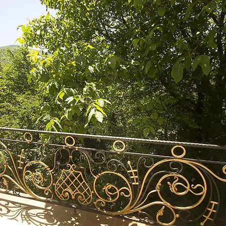 Orlan Hotel Rakhiv